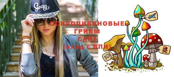 ешки Богородицк