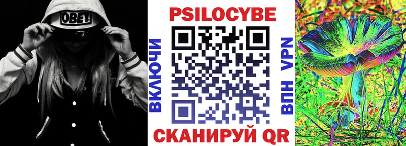 Псилоцибиновые грибы Psilocybe Донецк